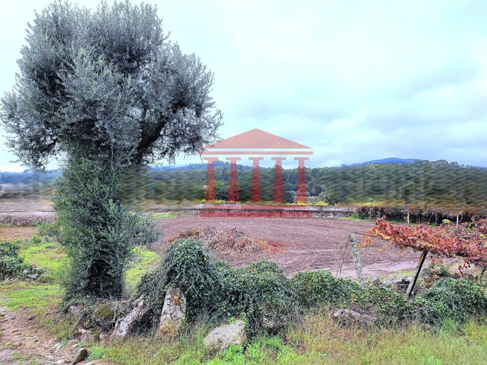 Terreno para Venda em Creixomil e Mariz Foto 4