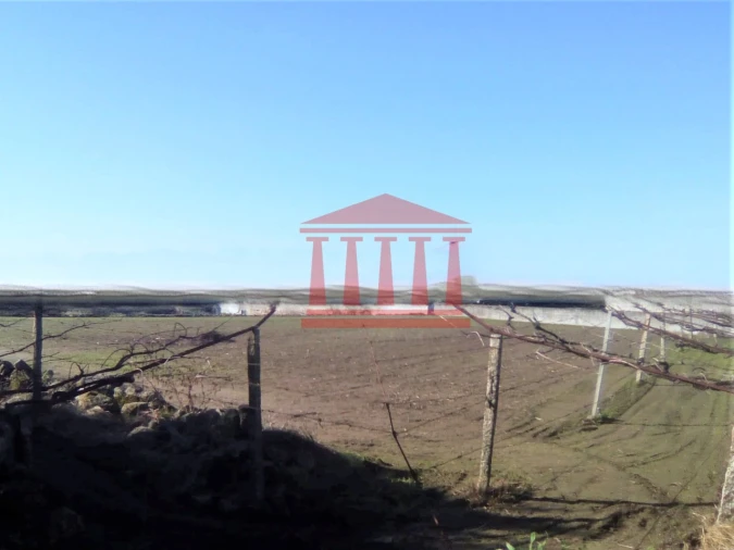 Terreno para Venda em Creixomil e Mariz Foto 3