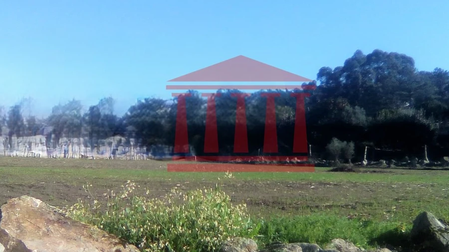 Terreno para Venda em Creixomil e Mariz