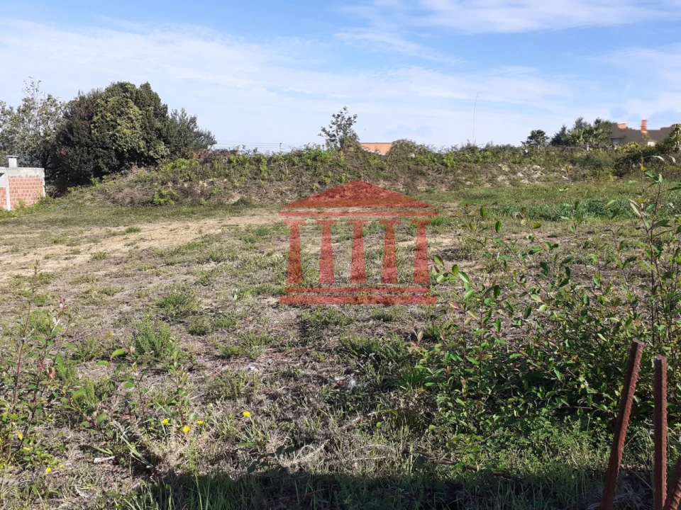 Terreno para Venda em Antas Foto 2