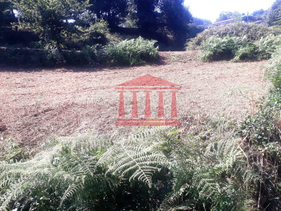 Terreno para Venda em Gamil e Midões Foto 3
