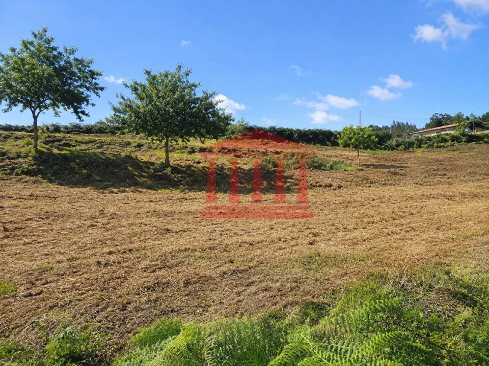 Terreno para Venda em Gamil e Midões Foto 7