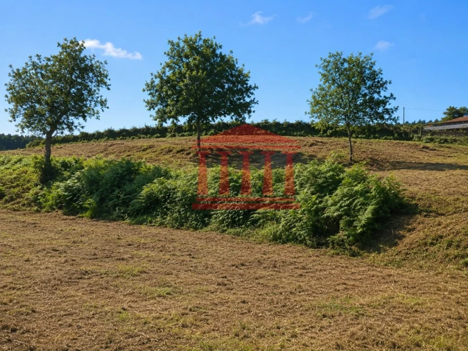 Terreno para Venda em Gamil e Midões Foto 4