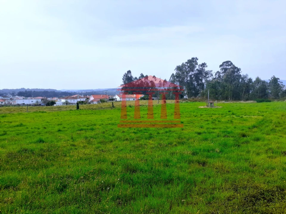 Terreno para Venda em Carvalhal Foto 3