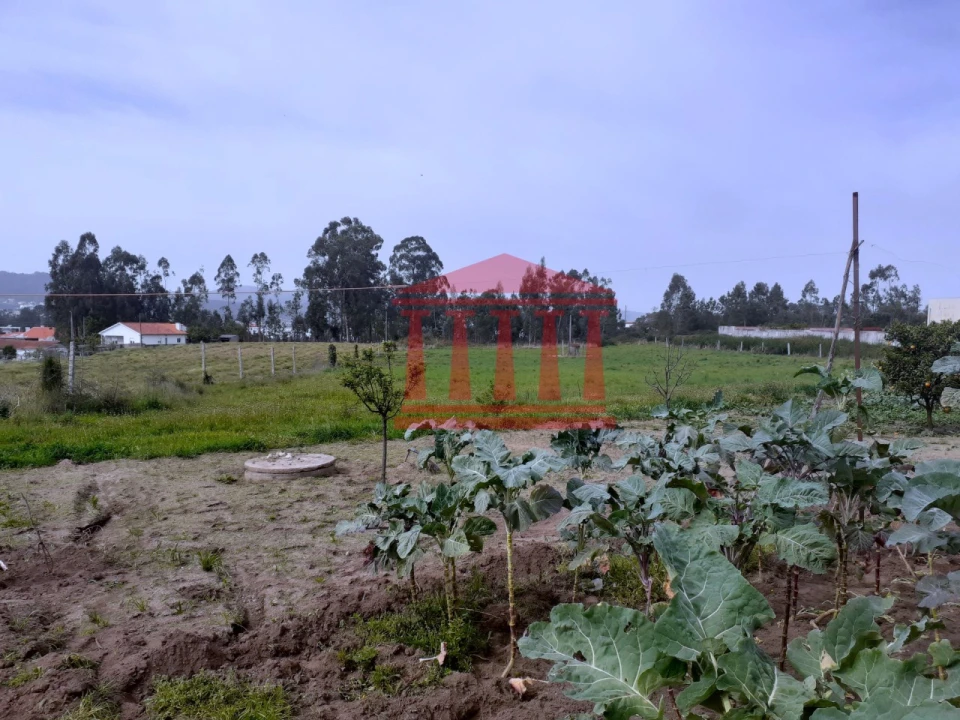 Terreno para Venda em Carvalhal Foto 8