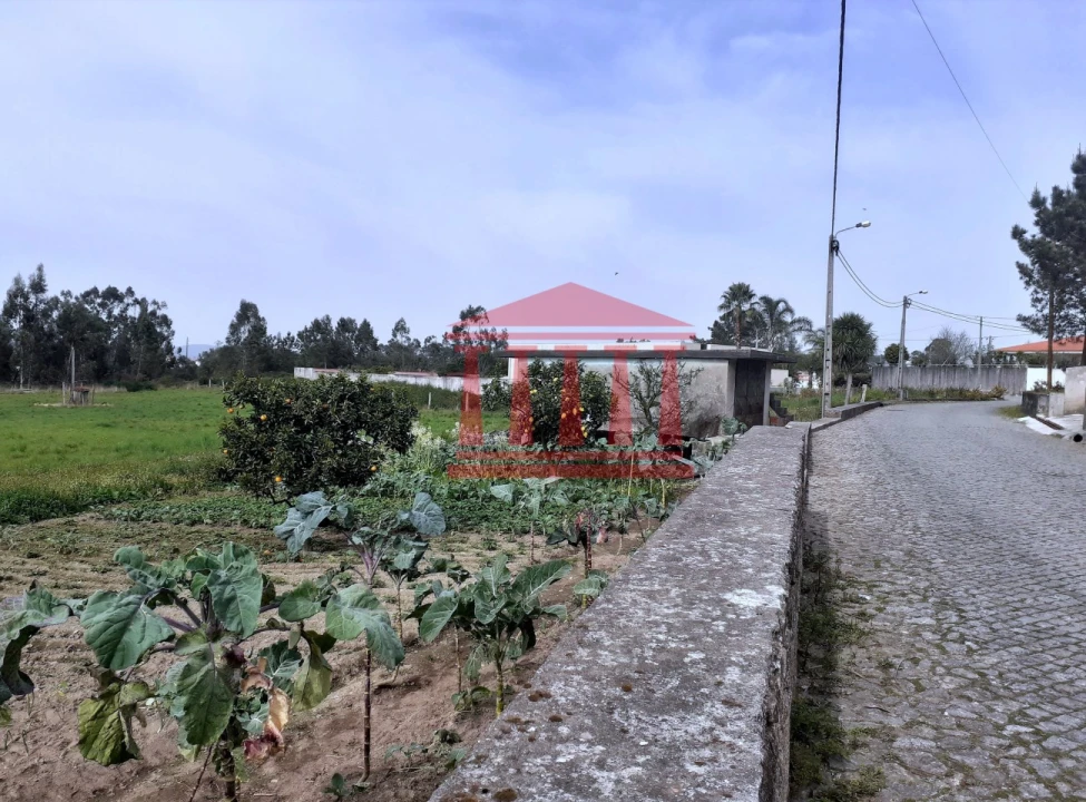 Terreno para Venda em Carvalhal Foto 11