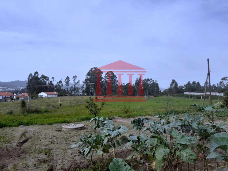 Terreno para Venda em Carvalhal Foto 12