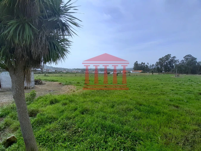 Terreno para Venda em Carvalhal Foto 4