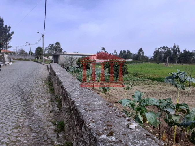 Terreno para Venda em Carvalhal Foto 7