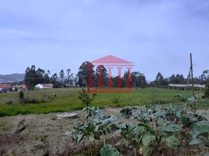 Terreno para Venda em Carvalhal Foto 12