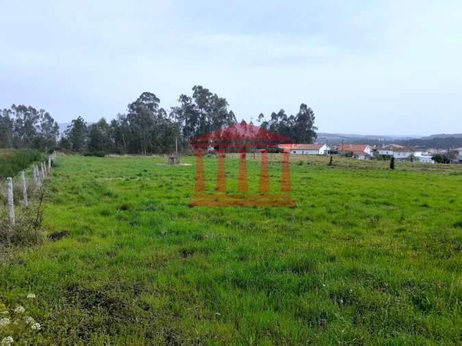 Terreno para Venda em Carvalhal Foto 14