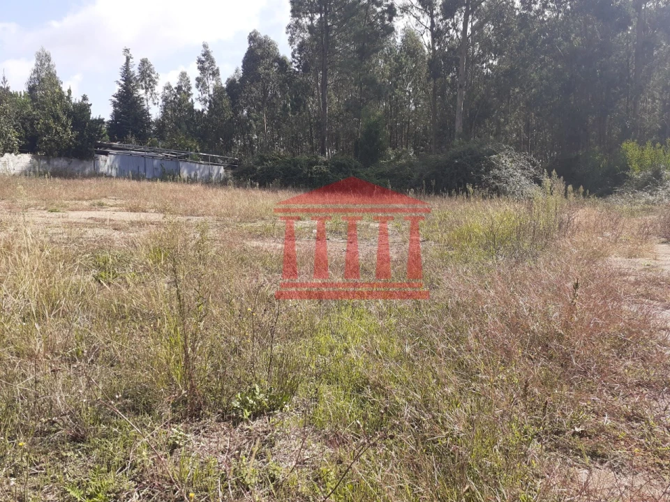 Terreno para Venda em Viatodos, Grimancelos, Minhotães, Monte Fralães Foto 4