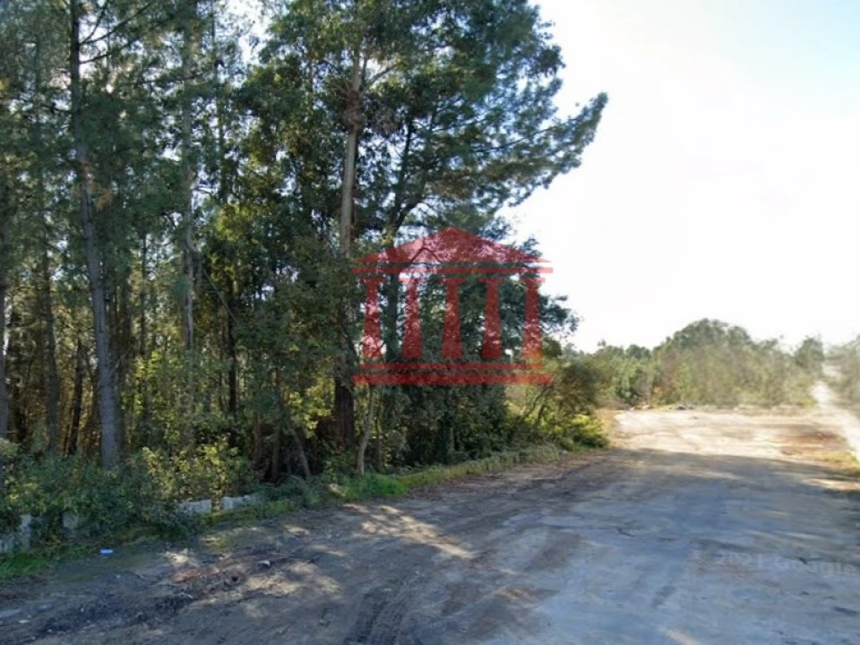 Terreno para Venda em Ucha Foto 4