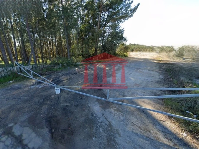 Terreno para Venda em Ucha Foto 5