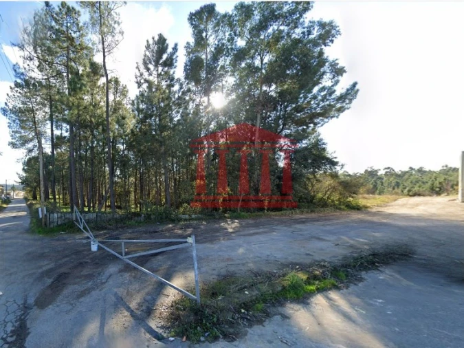 Terreno para Venda em Ucha Foto 6