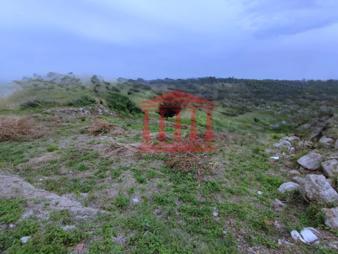 Terreno para Venda em Silveiros e Rio Covo (Santa Eulália) Foto 4