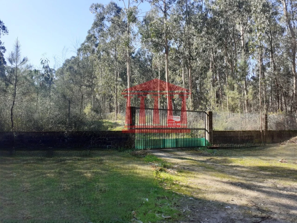 Terreno para Venda em Vila Chã Foto 3