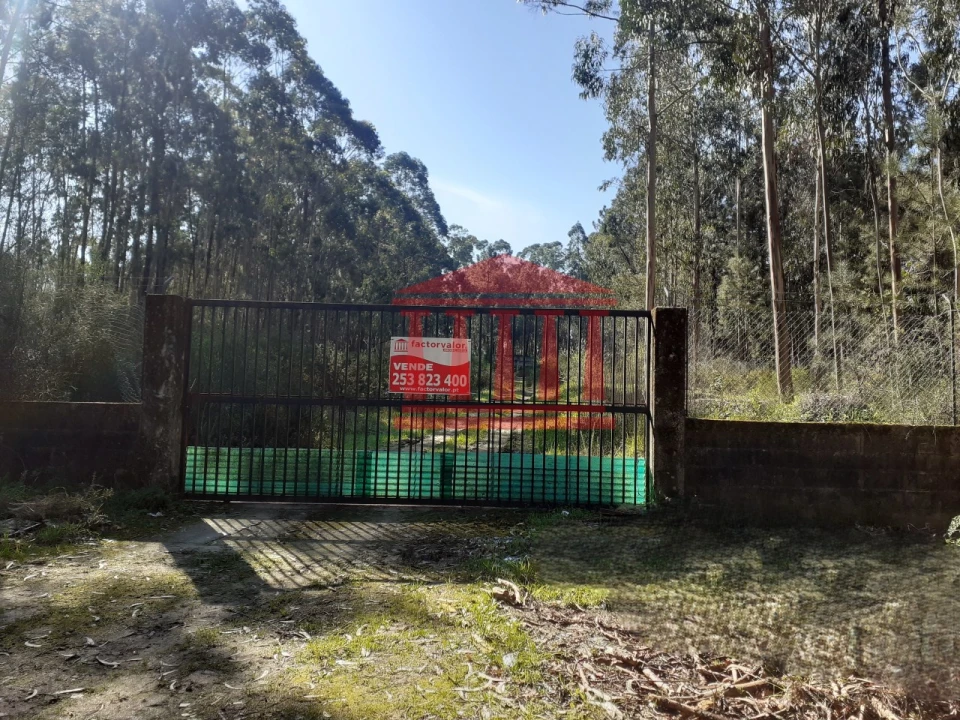 Terreno para Venda em Vila Chã Foto 4