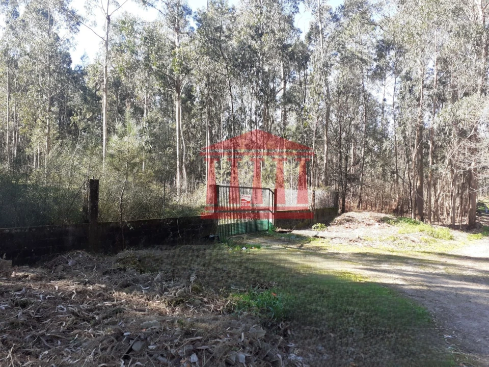 Terreno para Venda em Vila Chã Foto 1