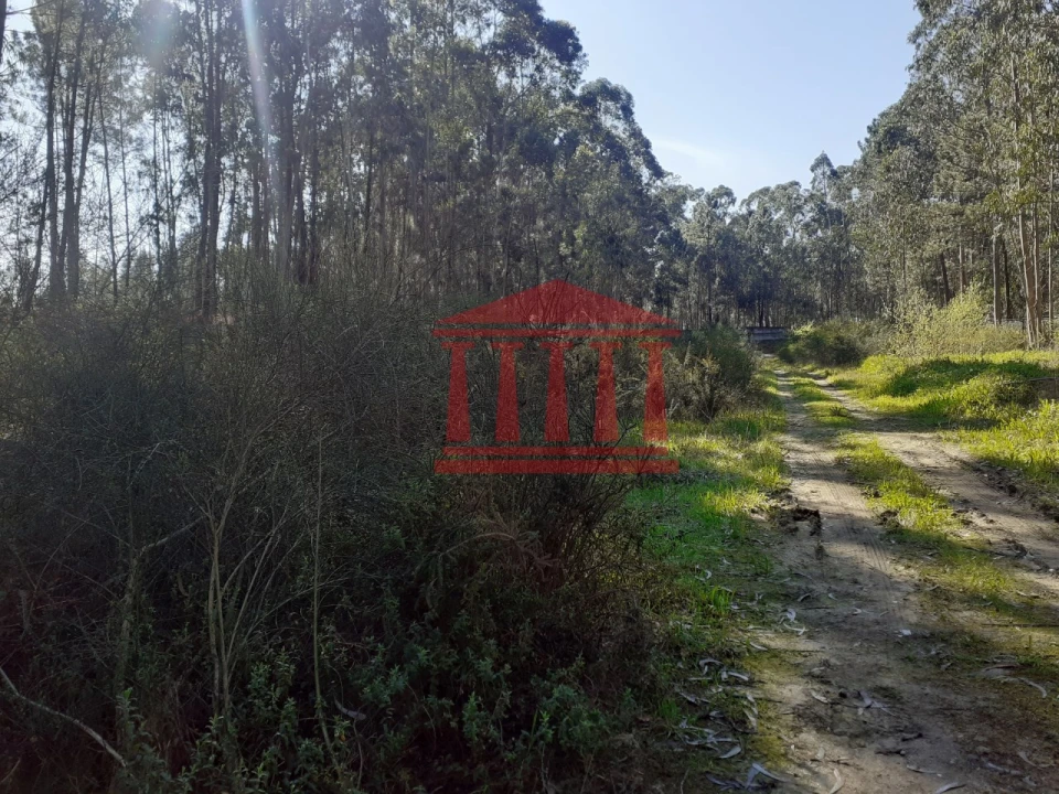 Terreno para Venda em Vila Chã Foto 5
