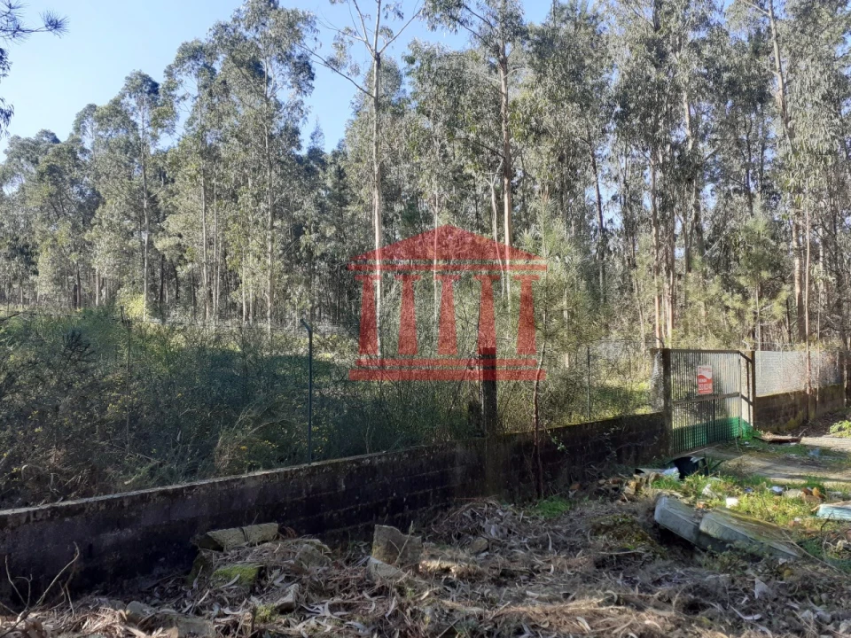 Terreno para Venda em Vila Chã Foto 8