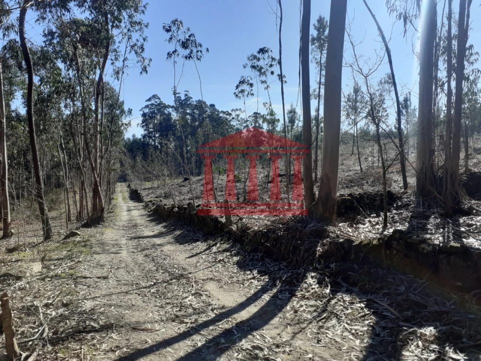 Terreno para Venda em Vila Chã Foto 11