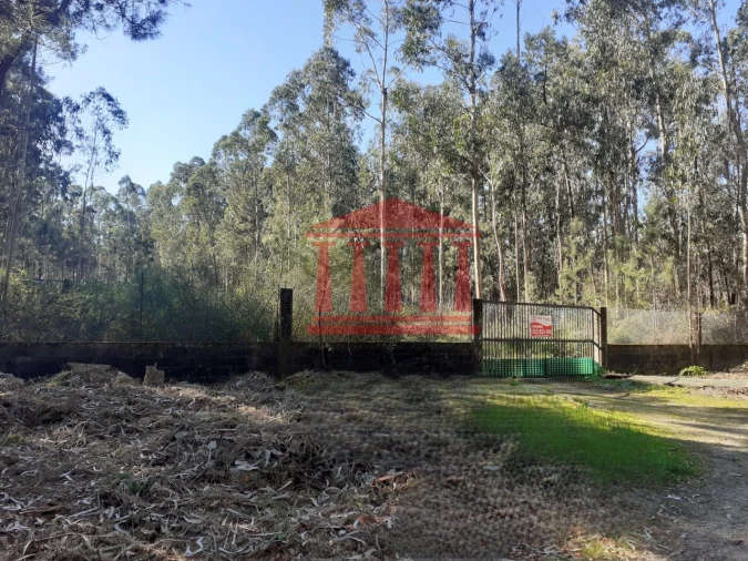 Terreno para Venda em Vila Chã Foto 7