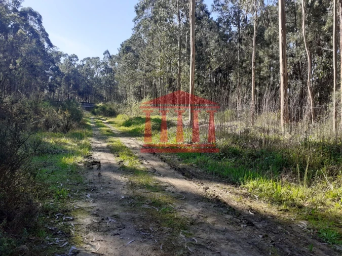 Terreno para Venda em Vila Chã Foto 9