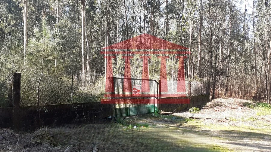 Terreno para Venda em Vila Chã