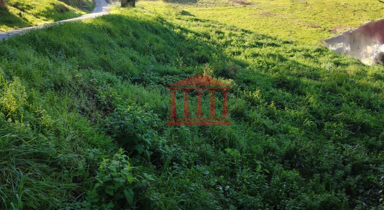 Terreno para Venda em Gamil e Midões Foto 8
