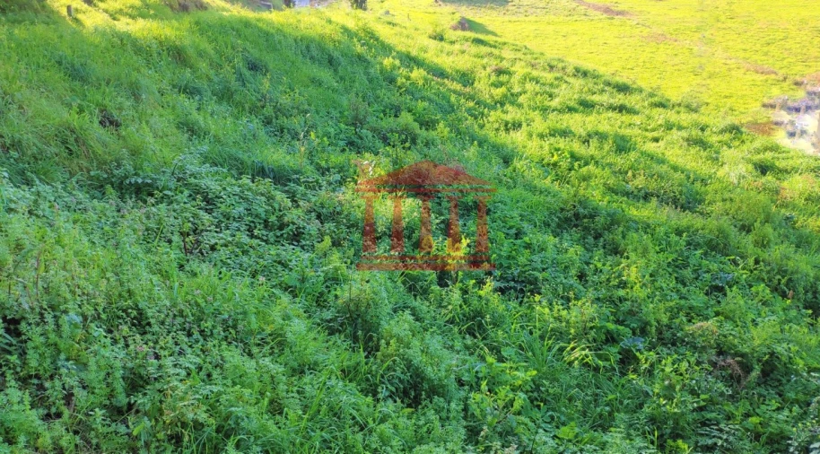 Terreno para Venda em Gamil e Midões Foto 4