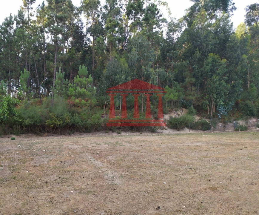 Terreno para Venda em Carreira e Fonte Coberta Foto 13