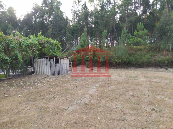 Terreno para Venda em Carreira e Fonte Coberta Foto 14