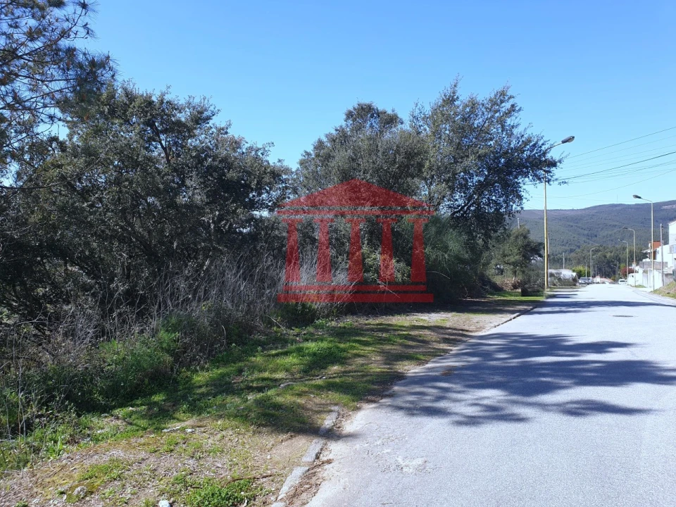 Terreno para Venda em Abade de Neiva Foto 1