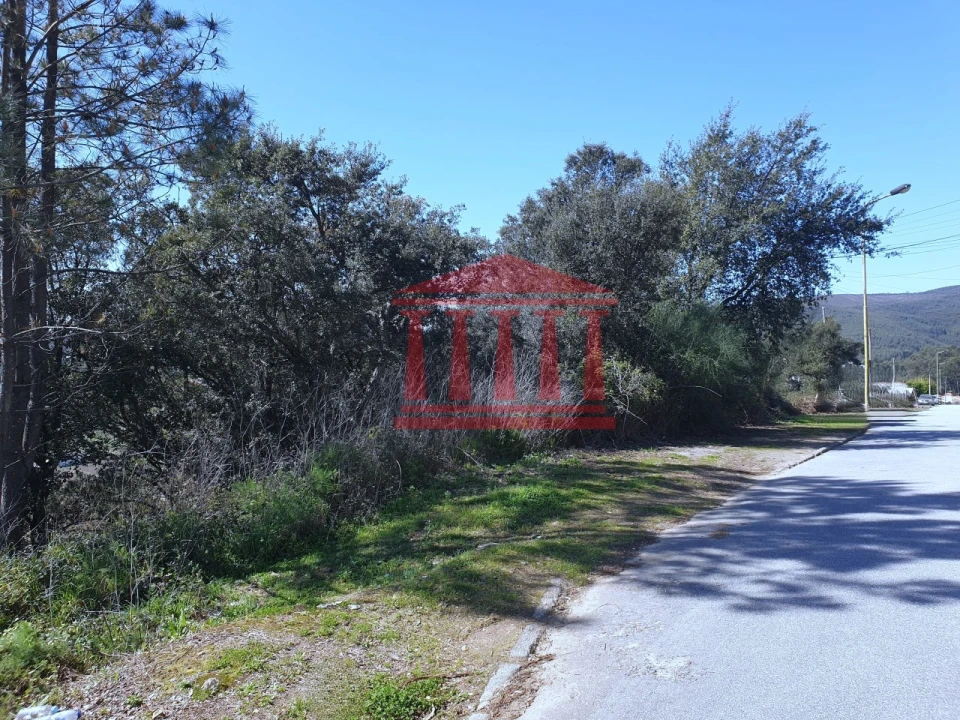 Terreno para Venda em Abade de Neiva Foto 2