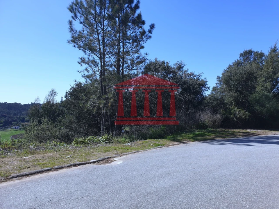 Terreno para Venda em Abade de Neiva Foto 3