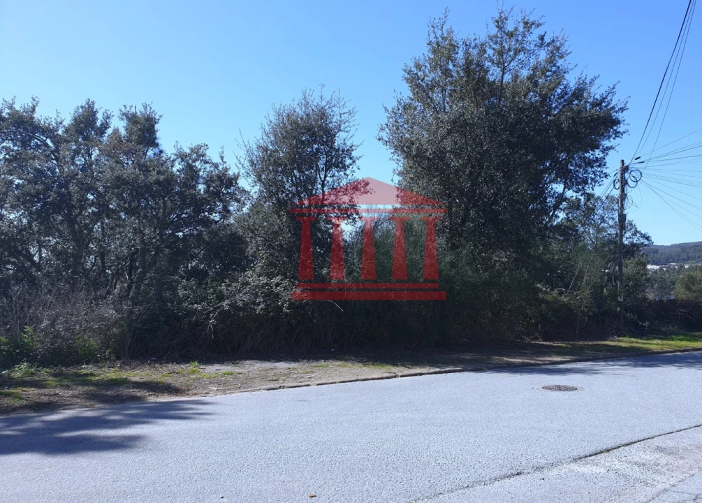 Terreno para Venda em Abade de Neiva Foto 5