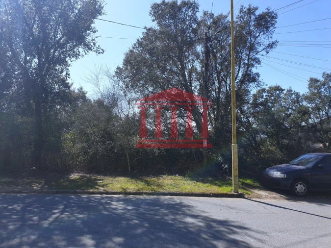 Terreno para Venda em Abade de Neiva Foto 6