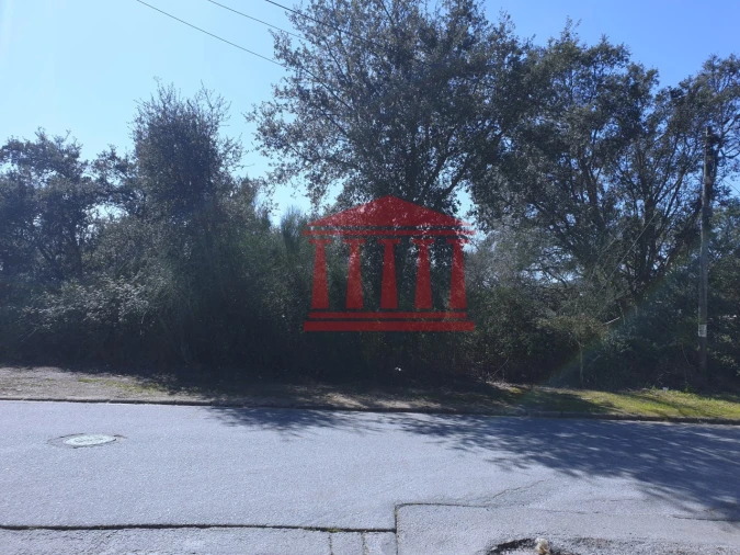 Terreno para Venda em Abade de Neiva Foto 7