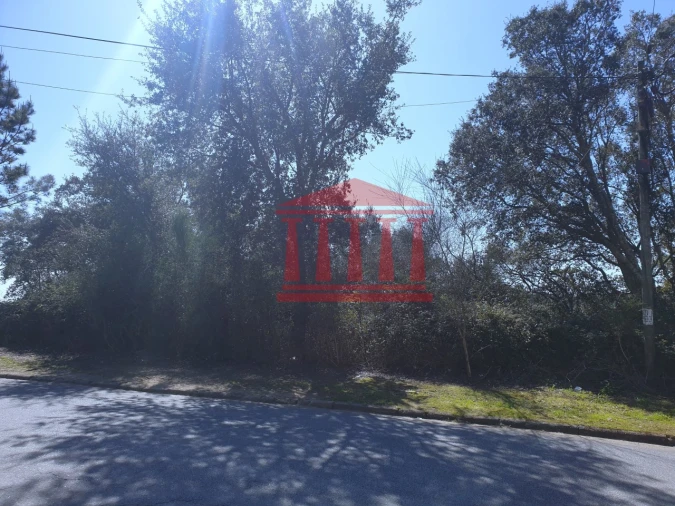 Terreno para Venda em Abade de Neiva Foto 8