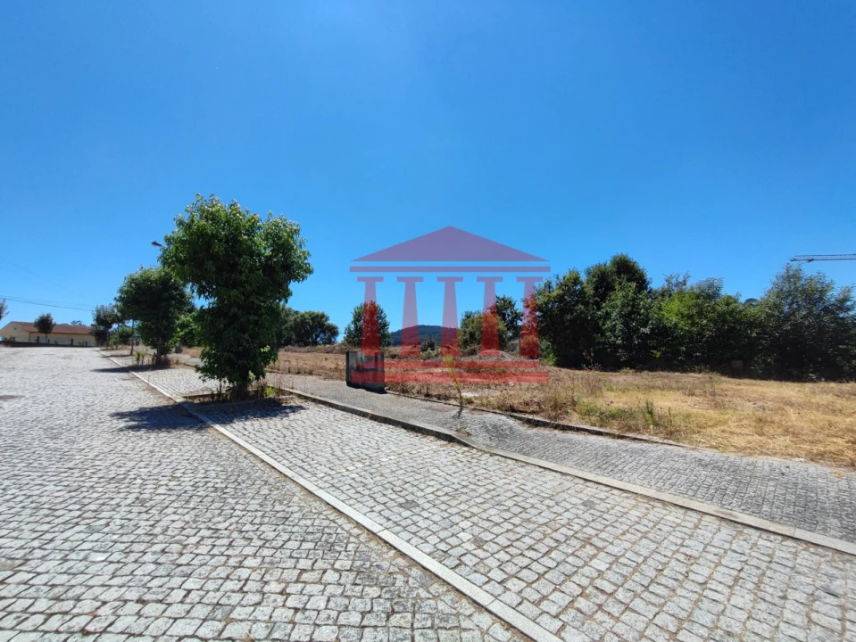 Terreno para Venda em Varzea Foto 3