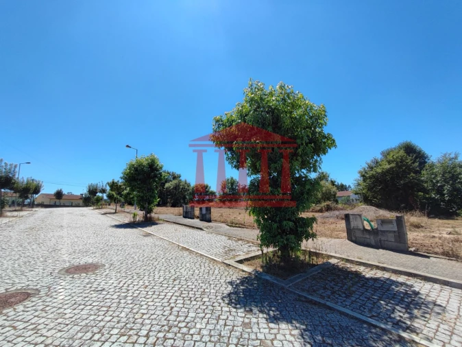 Terreno para Venda em Varzea Foto 4
