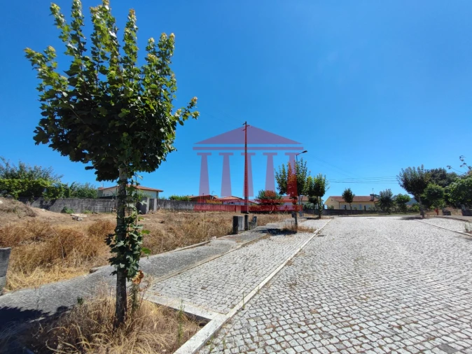 Terreno para Venda em Varzea Foto 5