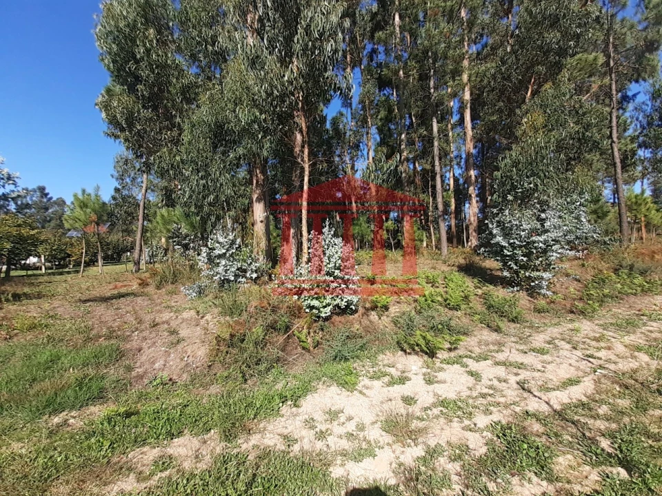 Terreno para Venda em Varzea Foto 5