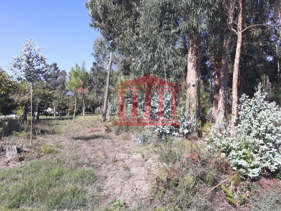 Terreno para Venda em Varzea Foto 7