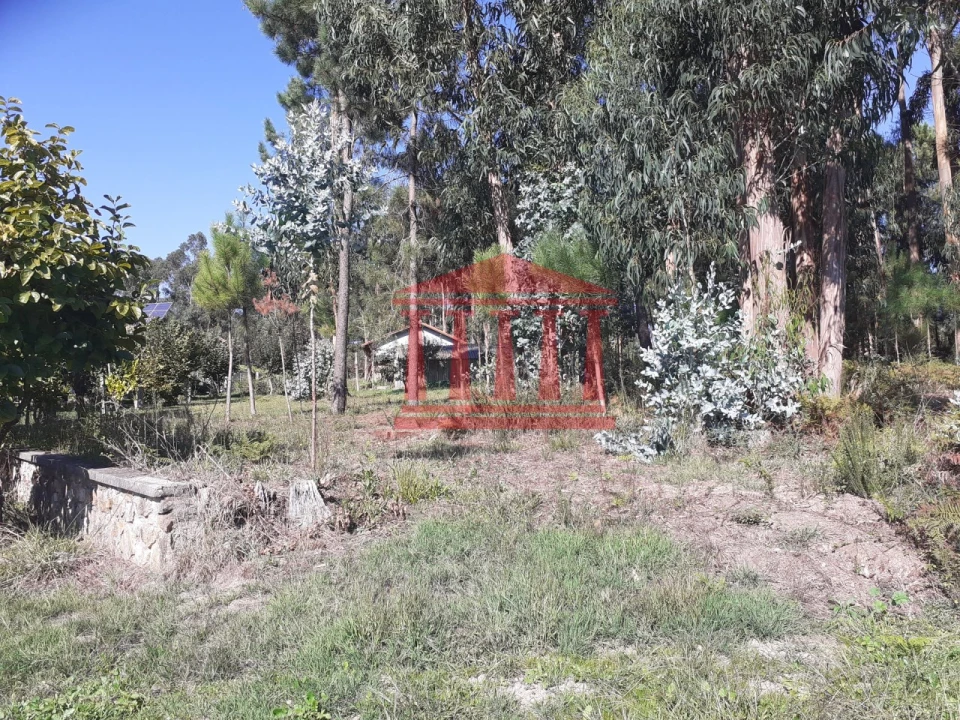 Terreno para Venda em Varzea Foto 10