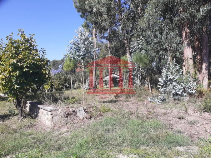 Terreno para Venda em Varzea Foto 3