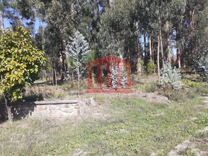 Terreno para Venda em Varzea Foto 2