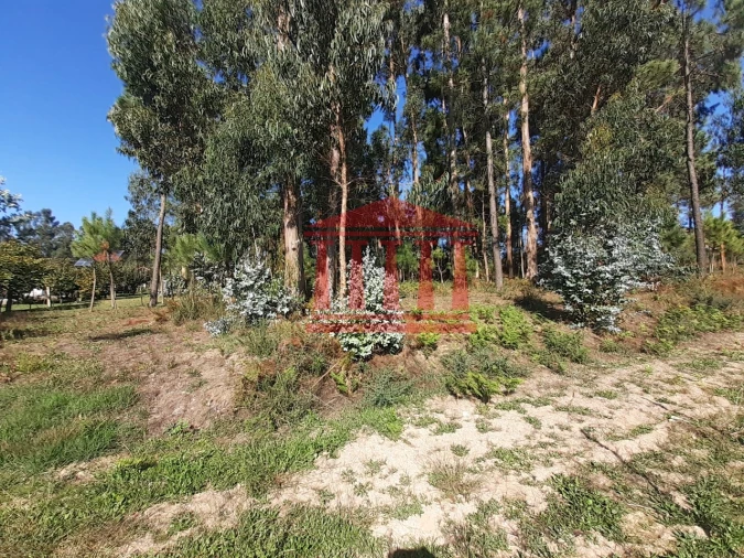 Terreno para Venda em Varzea Foto 5