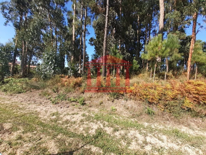 Terreno para Venda em Varzea Foto 8